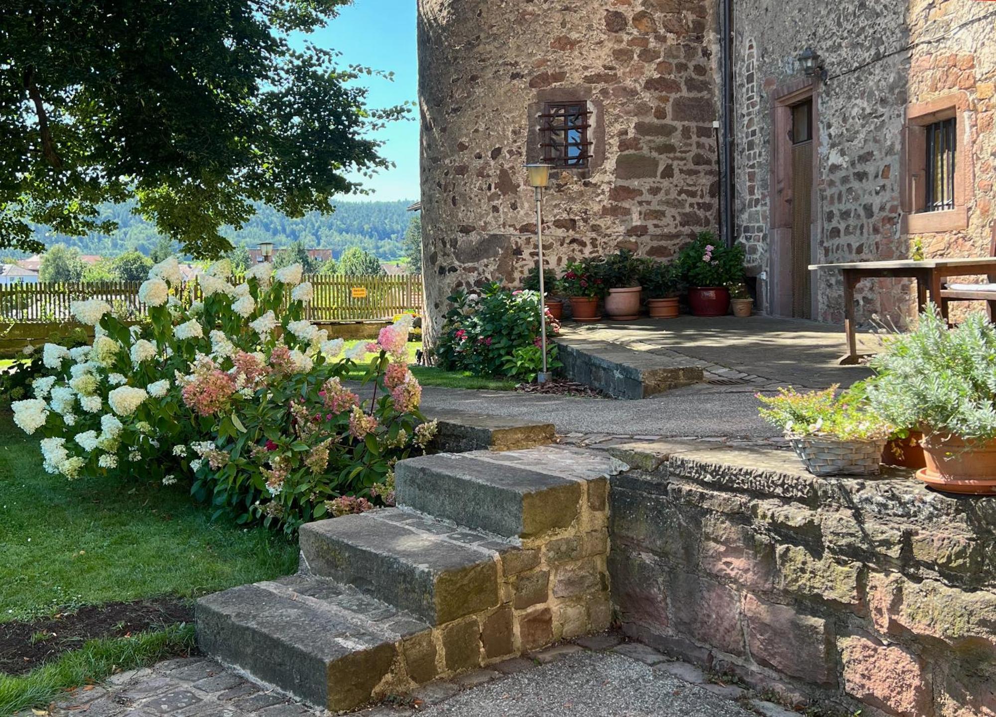 Alte Foersterei - Elegantes Apartment In Der Historischen Hinterburg Schlitz - Nahe Fulda Und Bad Hersfeld 외부 사진